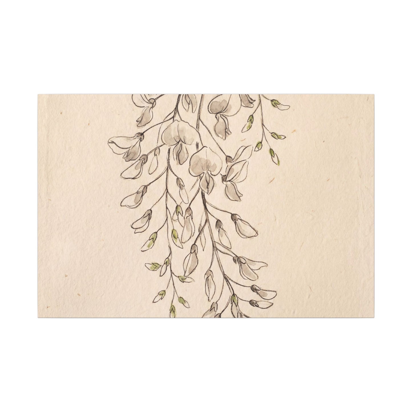 Japandi Wisteria in Golden Hour | Minimal Line Canvas Art Art Print