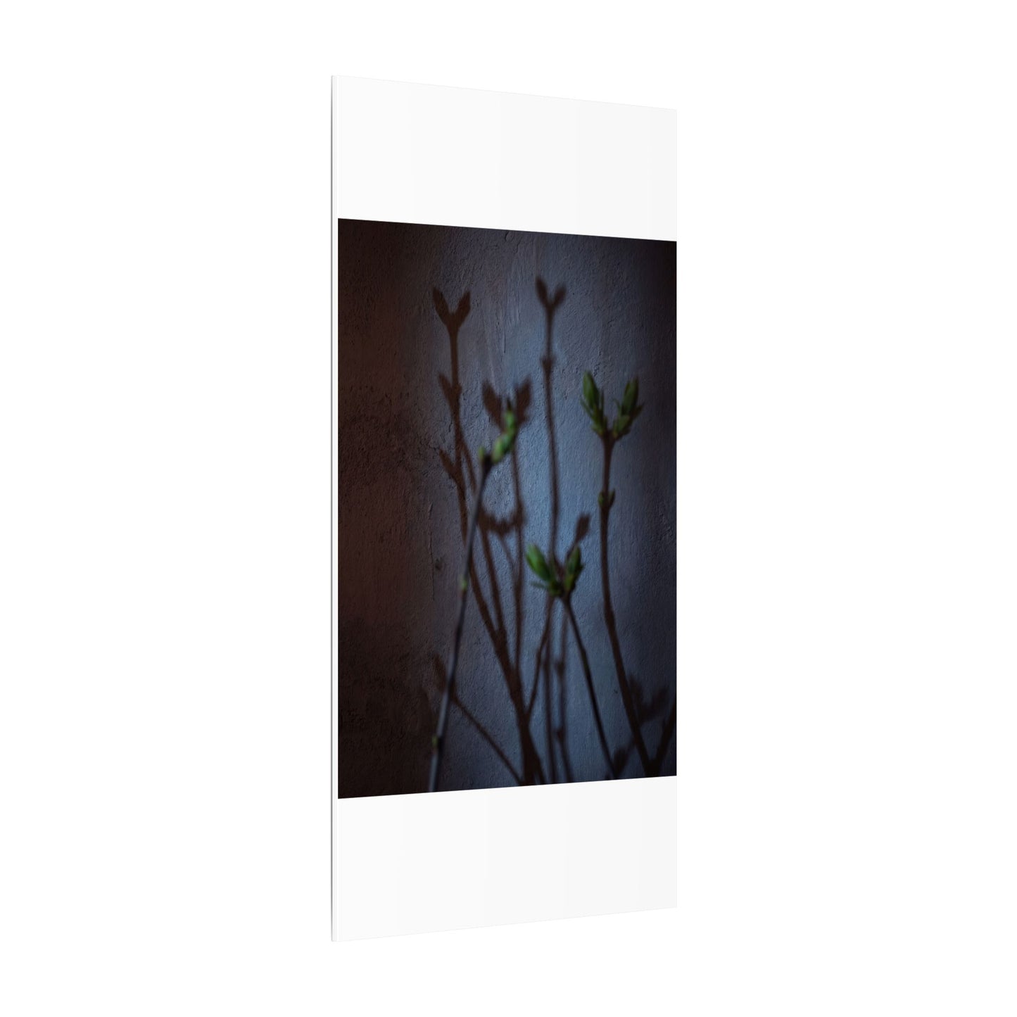 Shadow Play Spring Canvas Art | Dark Japandi Sophisticated Design