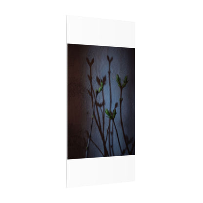 Shadow Play Spring Canvas Art | Dark Japandi Sophisticated Design