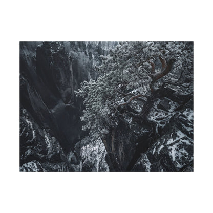 Dark Japandi Pine Tree in Dappled | Dark Texture Canvas Art