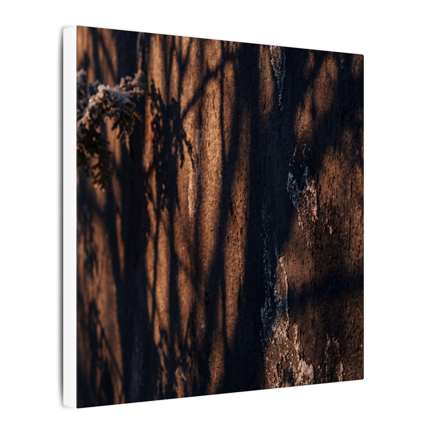 Golden Hour Shadow Play Canvas Art - Dark Japandi Fukinsei