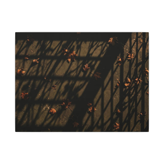 Shadow Play Canvas Art | Autumn Dark Japandi Moody Minimal Art Art Print