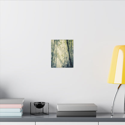 Bamboo Grove Spring Canvas Art | Zen Serene Design