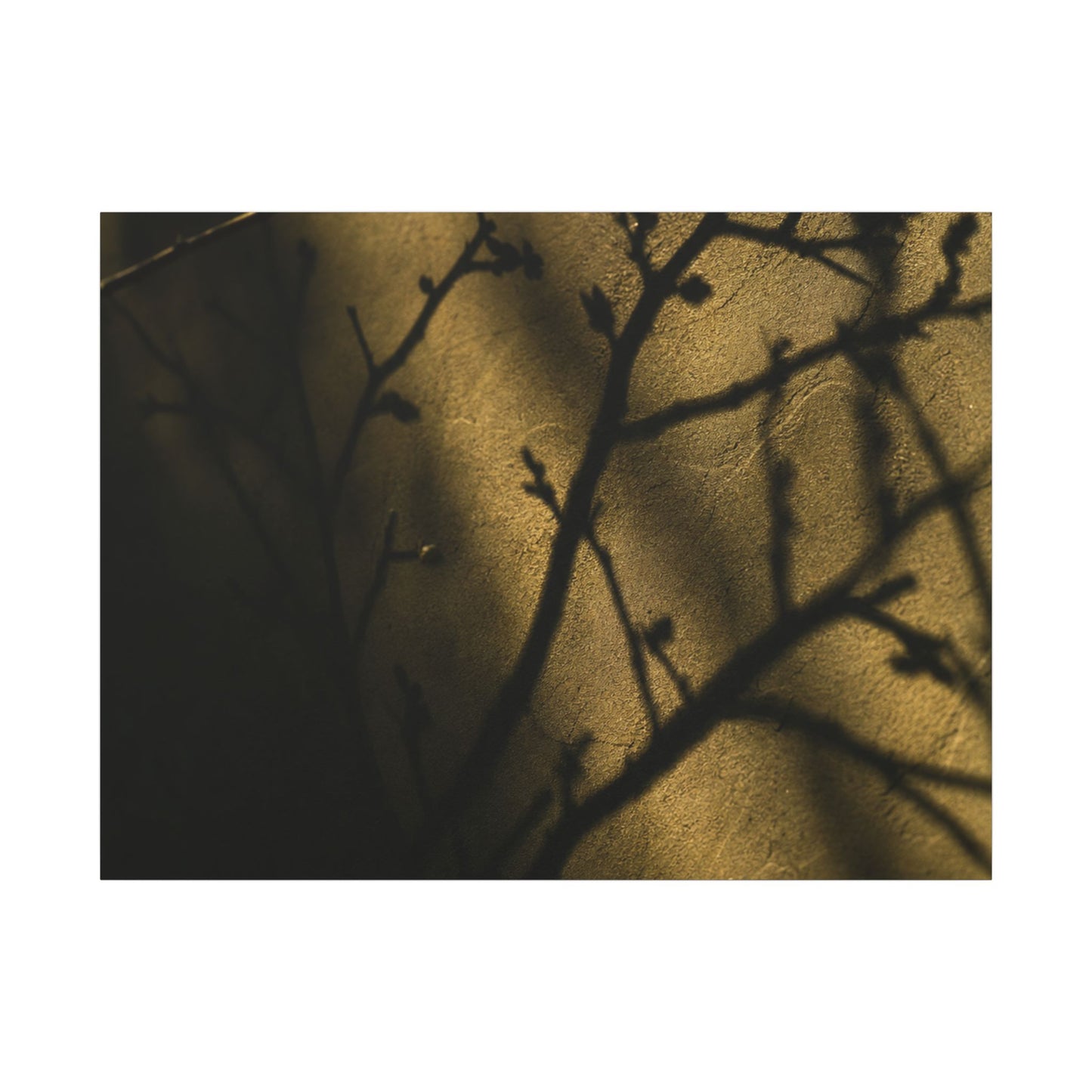 Golden Hour Shadow Play Canvas Art - Dark Japandi Seijaku