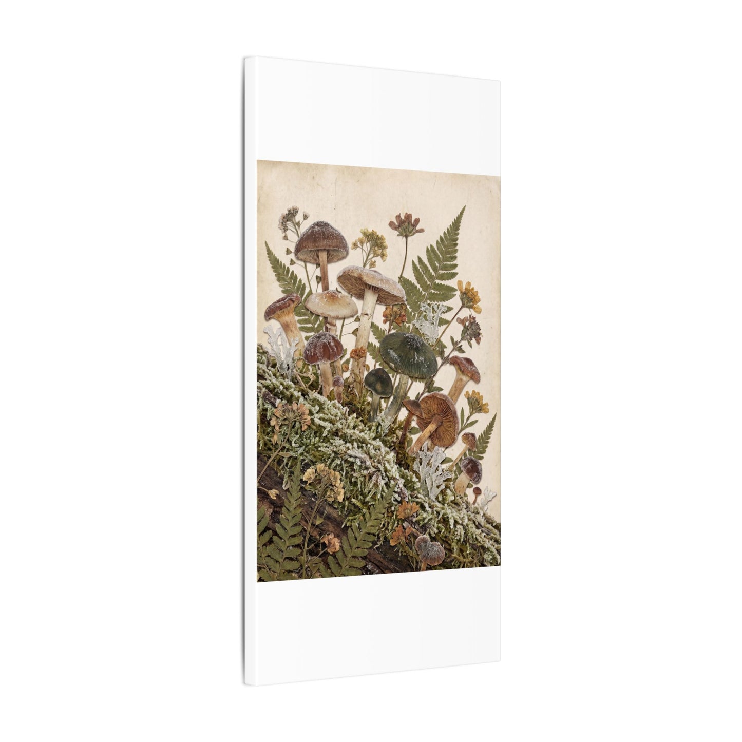 Winter Wild Mushrooms Herbarium Canvas Art | Enchanting Decor