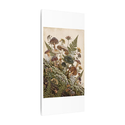 Winter Wild Mushrooms Herbarium Canvas Art | Enchanting Decor