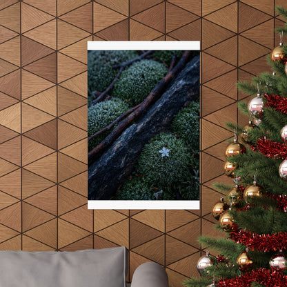 Moss Close Up Moody Minimal Wall Art Print | Moody Dark Japandi Art