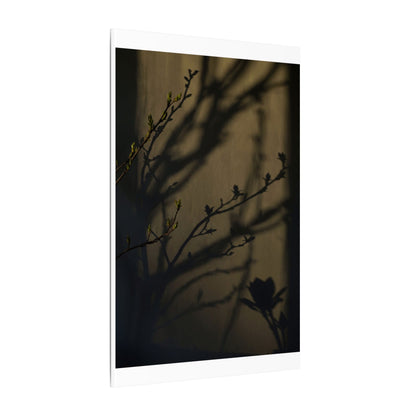 Seijaku Shadow Play Canvas Art - Dark Japandi Charcoal Ink