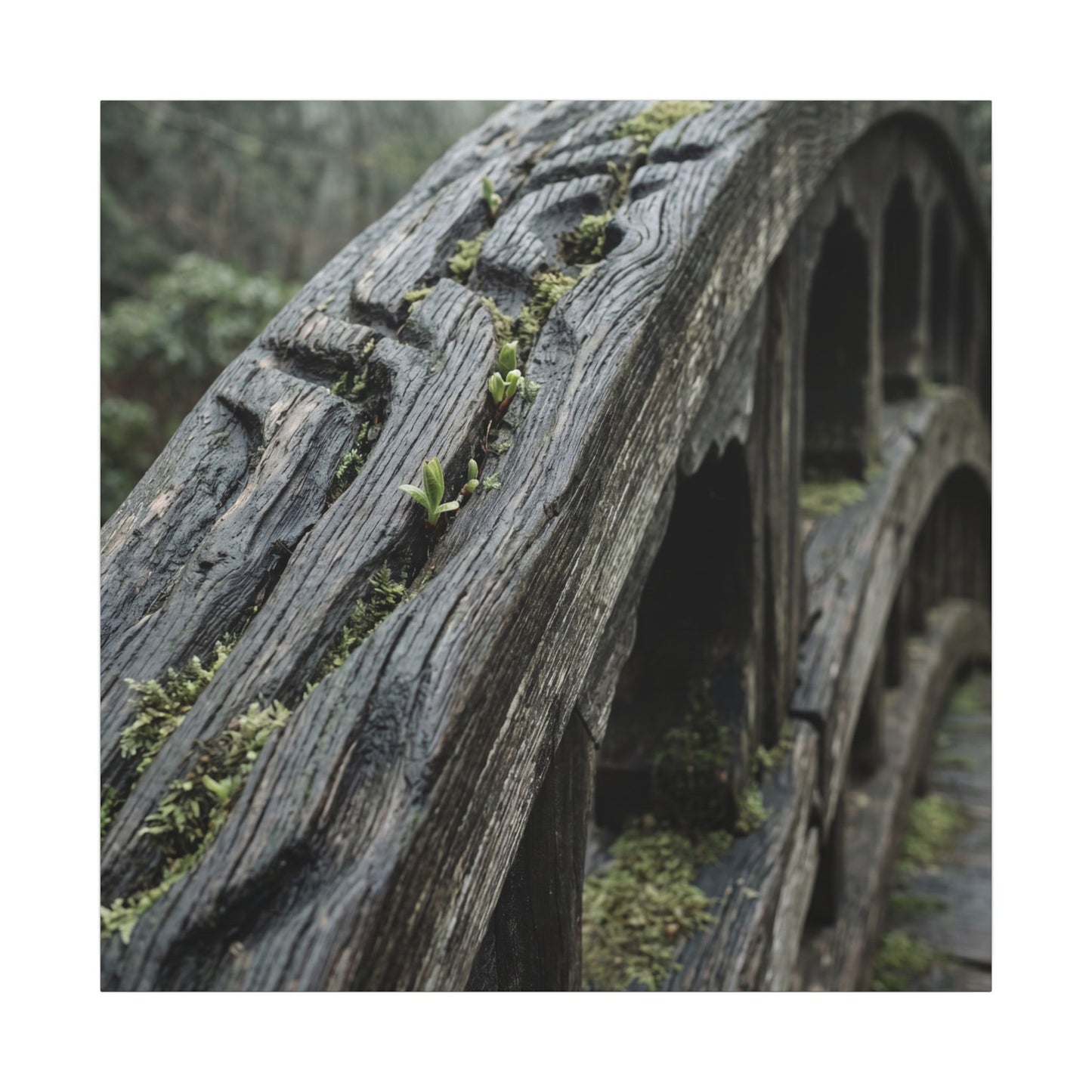 Overcast Wooden Bridge Canvas Art - Japandi Kanso