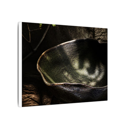 Sophisticated Ceramic Bowl Canvas Art - Dark Texture Dark Japandi