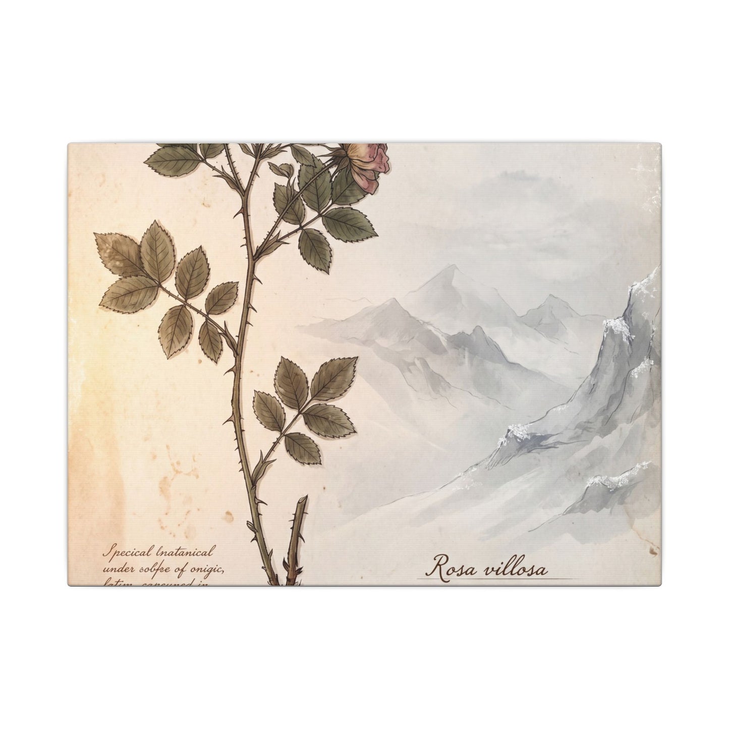 Winter Mountain Mist Herbarium Canvas Art | Earthy Decor