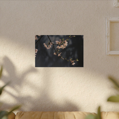 Cherry Blossom Moody Minimal Canvas Art | Bold Dark Japandi Art