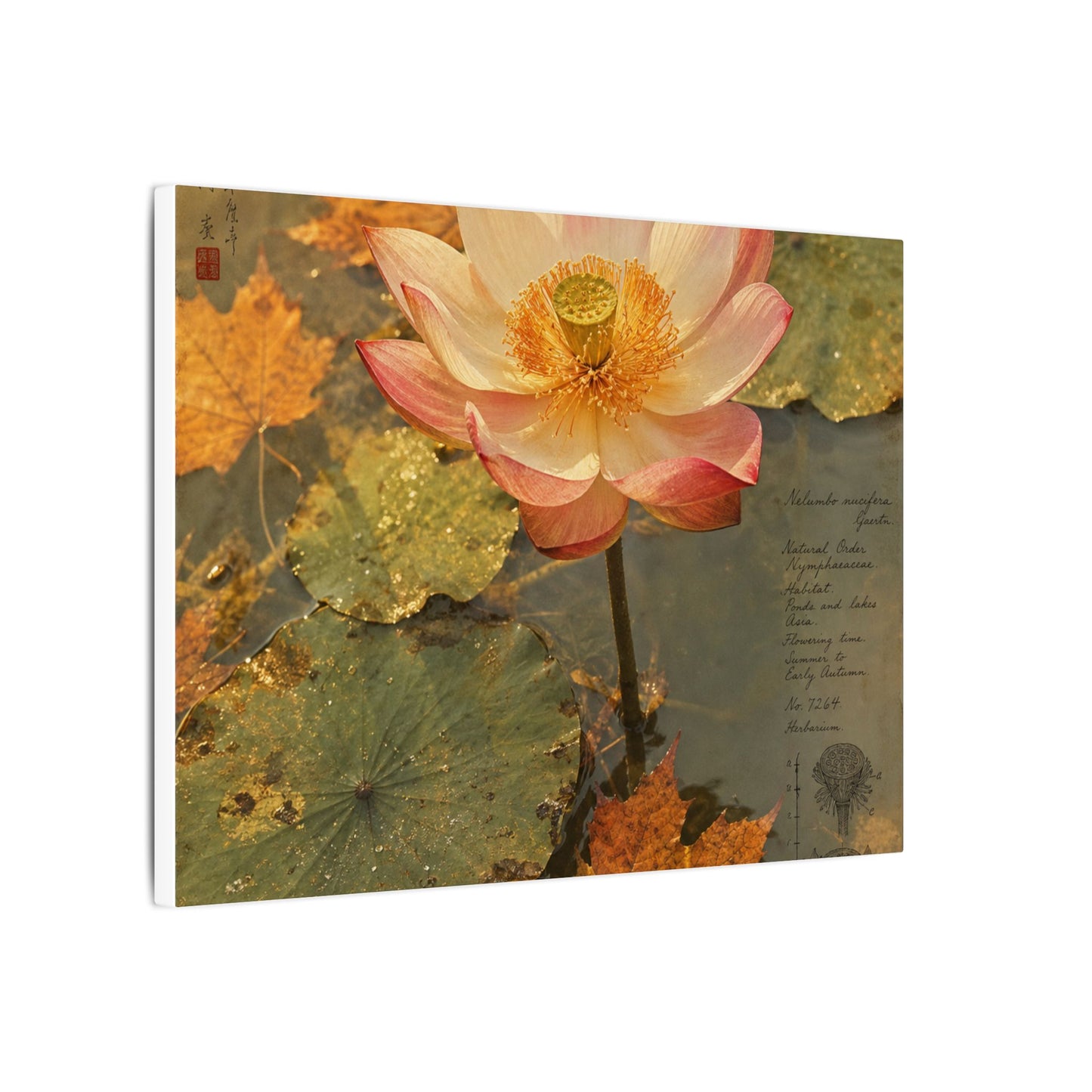Autumn Lotus Flower Herbarium Canvas Art | Rustic Decor