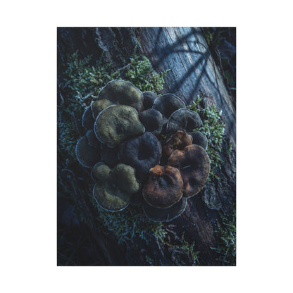 Wild Mushrooms Moody Minimal Canvas Art | Moody Dark Japandi Art