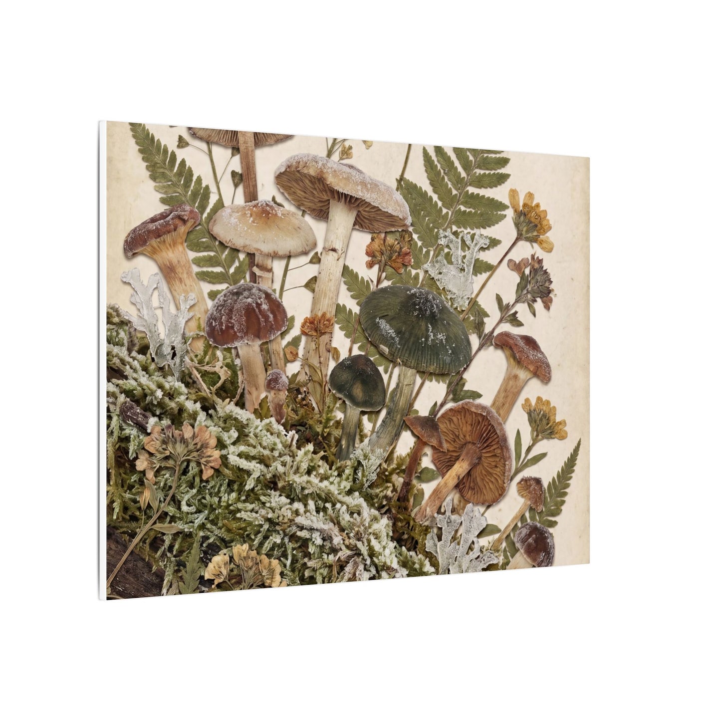 Winter Wild Mushrooms Herbarium Canvas Art | Enchanting Decor