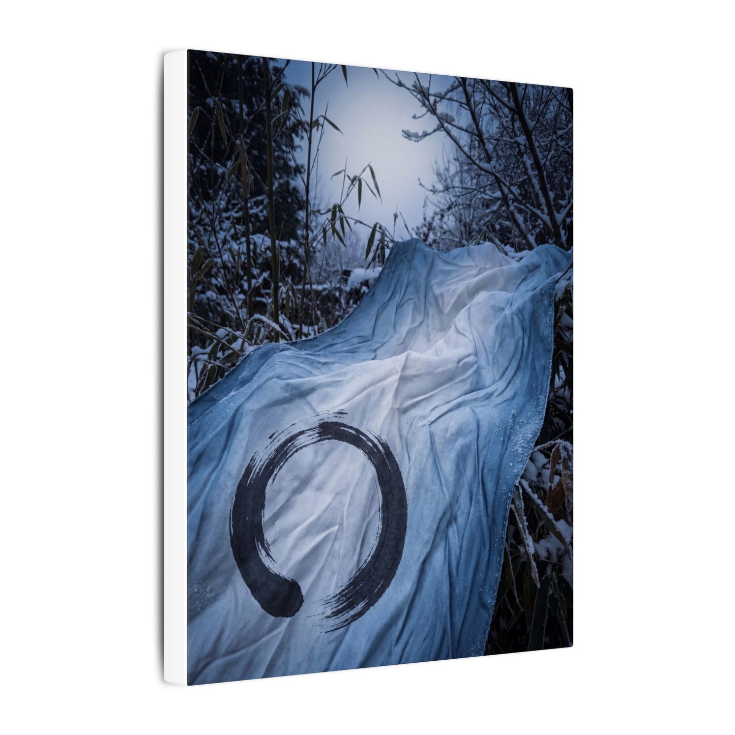 Moonlight Silk Drape Canvas Art - Zen Datsuzoku