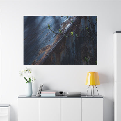 Rust Patina Canvas Art | Spring Dark Japandi Shadow Zen Art
