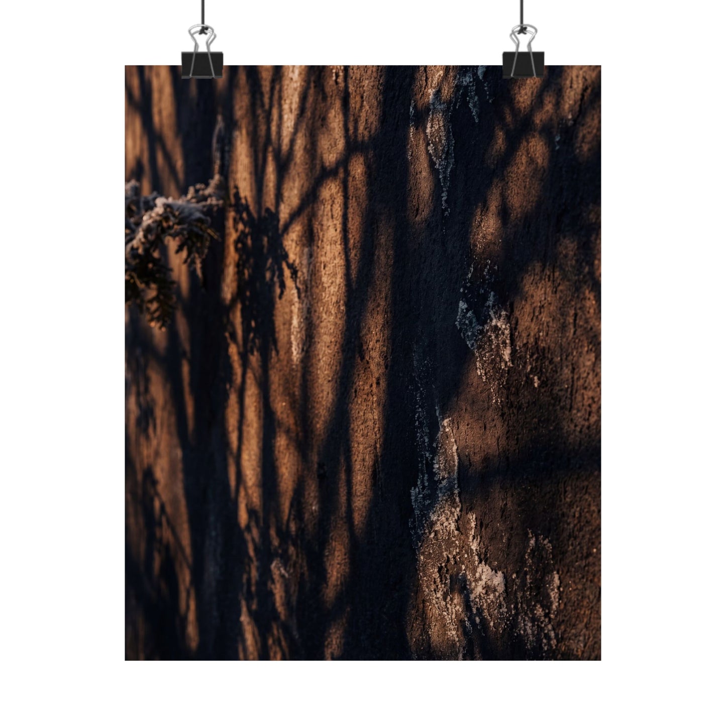 Shadow Play Wall Art Print | Winter Dark Japandi Moody Minimal Art Art Print