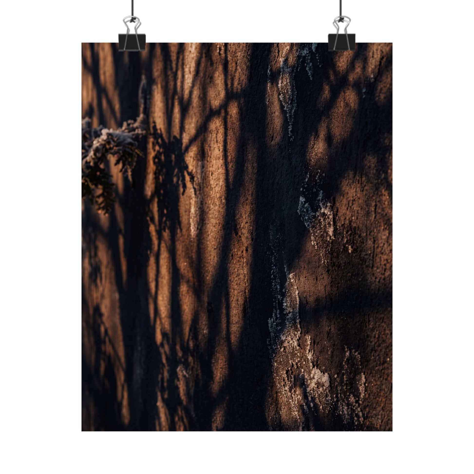 Shadow Play Wall Art Print | Winter Dark Japandi Moody Minimal Art Art Print