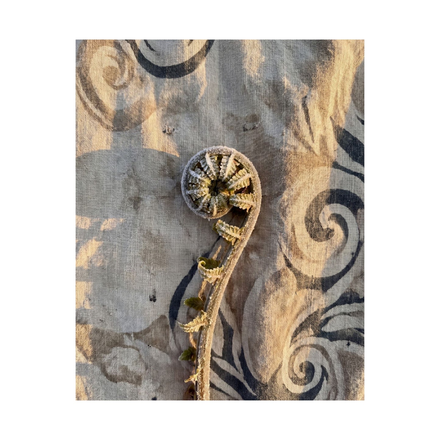Fern Unfurling Winter Wall Art Print | Japandi Warm Design