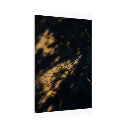 Moody Shadow Play Canvas Art - Moody Minimal Dark Japandi