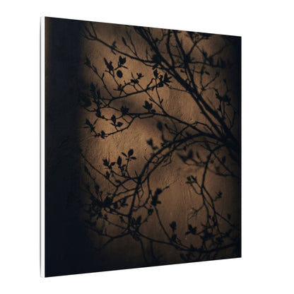 Dark Japandi Shadow Play in Golden Hour | Shadow Zen Canvas Art