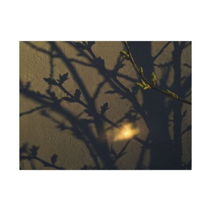 Bold Shadow Play Canvas Art - Moody Minimal Dark Japandi