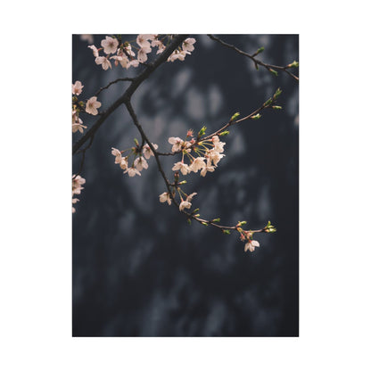Cherry Blossom Moody Minimal Canvas Art | Bold Dark Japandi Art