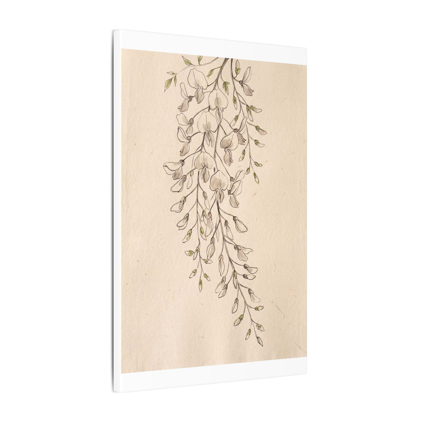 Japandi Wisteria in Golden Hour | Minimal Line Canvas Art
