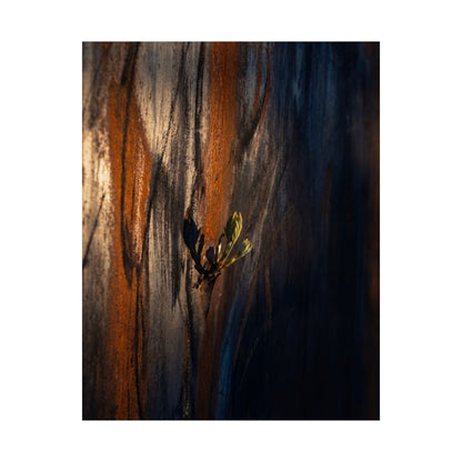 Rust Patina Spring Wall Art Print | Dark Japandi Sophisticated Design