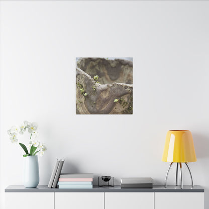 Overcast Ceramic Bowl Canvas Art - Japandi Fukinsei