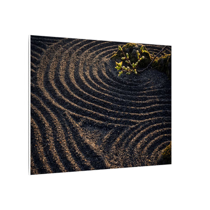 Spring Rock Garden Shadow Zen Canvas Art | Atmospheric Decor