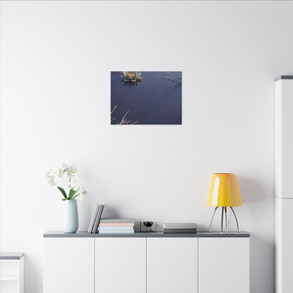 Lotus Flower Canvas Art | Winter Zen Karesansui Art