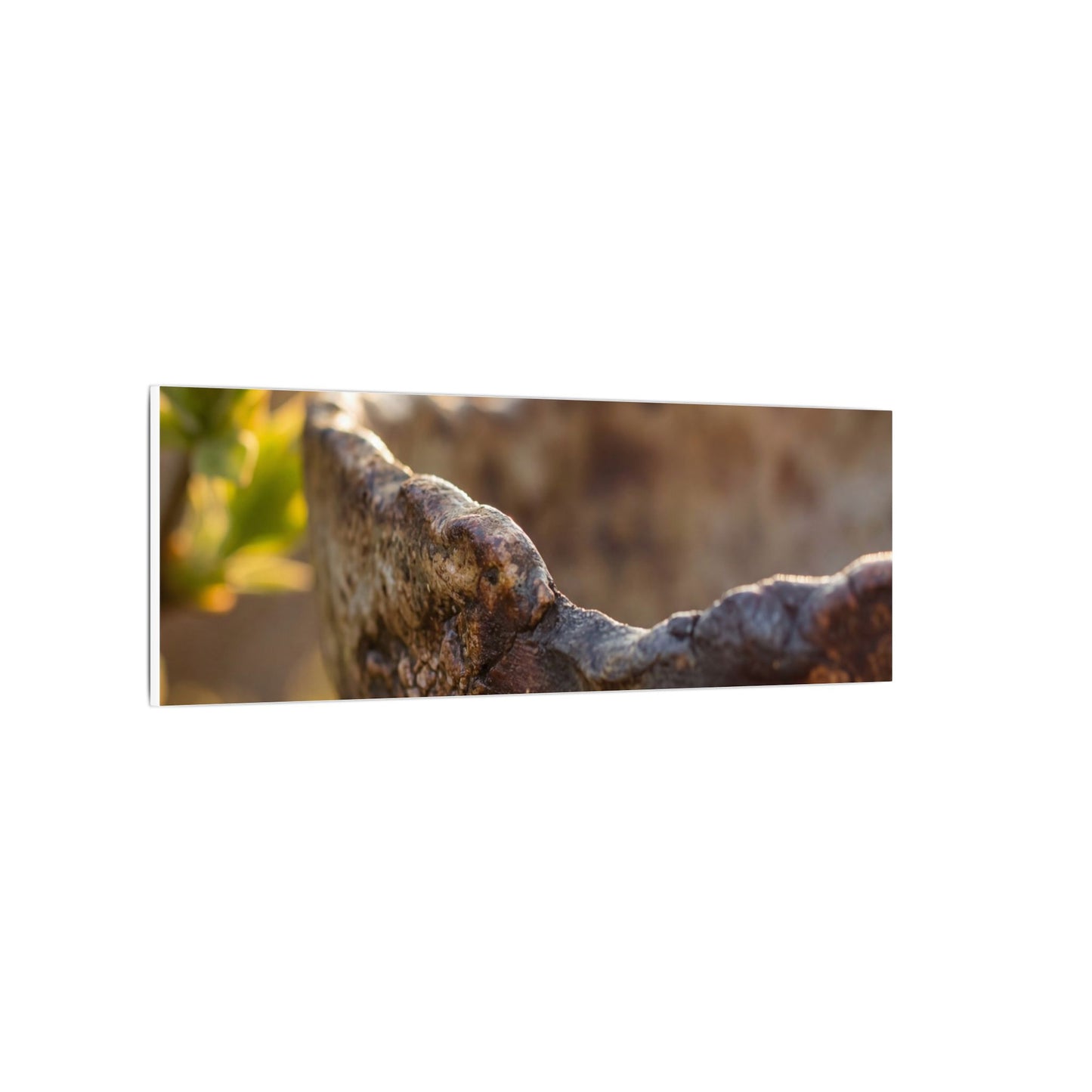 Golden Hour Ceramic Bowl Canvas Art - Dark Japandi Ma