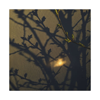 Bold Shadow Play Canvas Art - Moody Minimal Dark Japandi