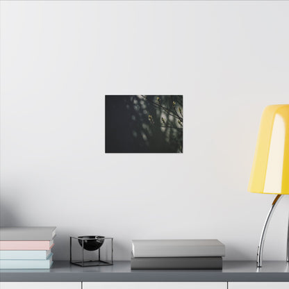 Dark Japandi Shoji Screen in Dappled | Moody Minimal Canvas Art
