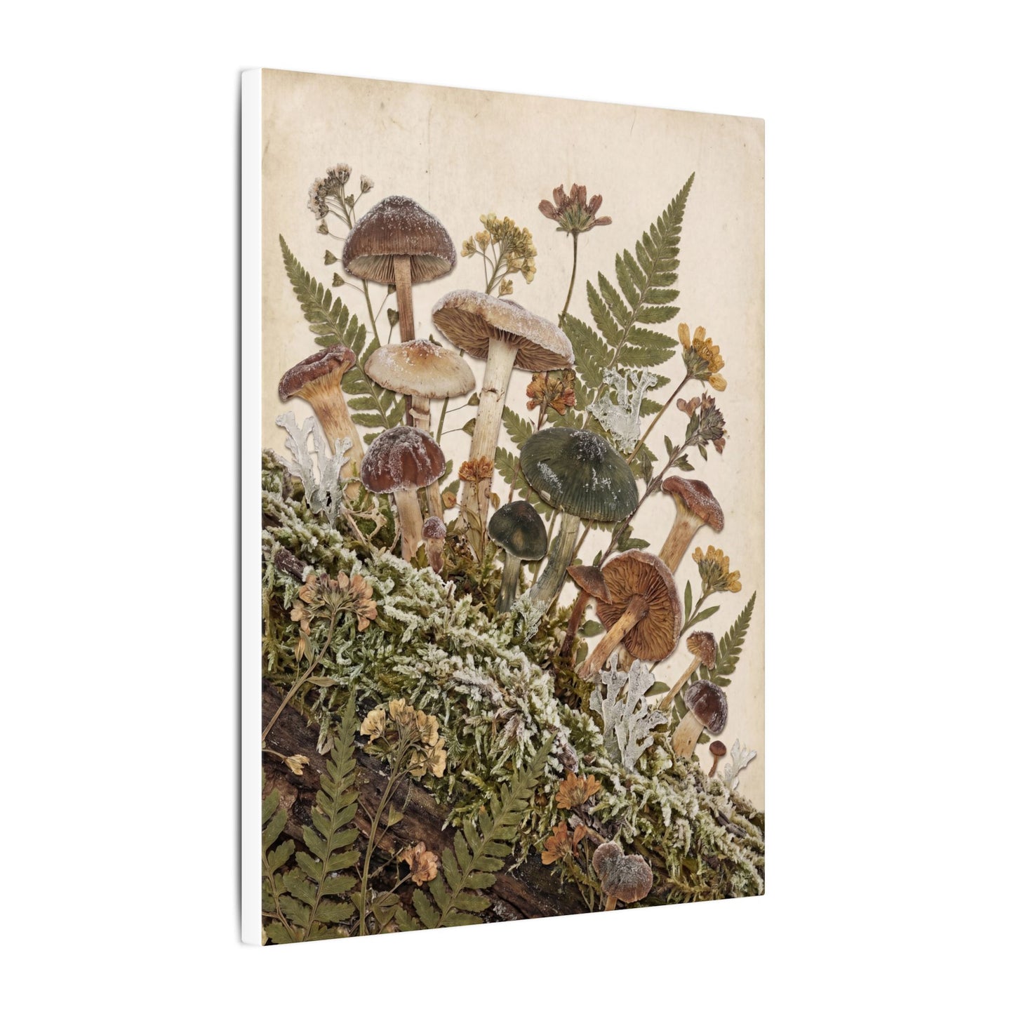 Winter Wild Mushrooms Herbarium Canvas Art | Enchanting Decor