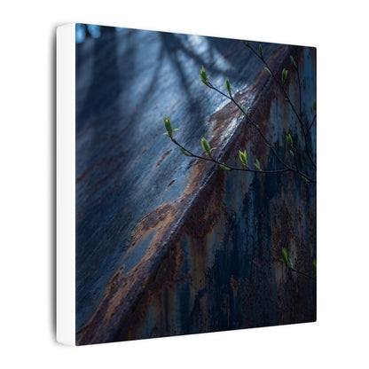 Rust Patina Canvas Art | Spring Dark Japandi Shadow Zen Art