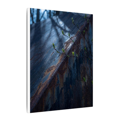 Rust Patina Canvas Art | Spring Dark Japandi Shadow Zen Art
