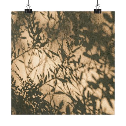 Shibui Shadow Play Wall Art Print - Japandi Minimal Line Art Print