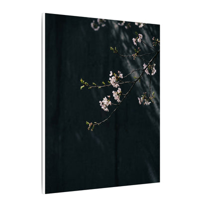 Cherry Blossom Spring Canvas Art | Dark Japandi Sophisticated Design