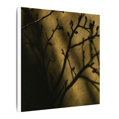 Golden Hour Shadow Play Canvas Art - Dark Japandi Seijaku