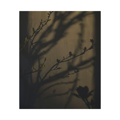 Seijaku Shadow Play Canvas Art - Dark Japandi Charcoal Ink