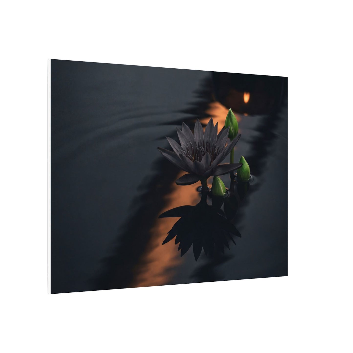 Seijaku Lotus Flower Canvas Art - Dark Japandi Shadow Zen