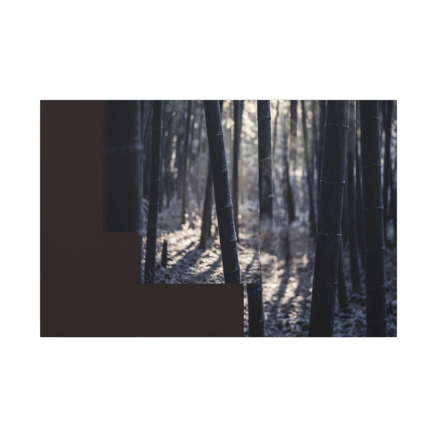 Bamboo Grove Canvas Art | Winter Dark Japandi Moody Minimal Art