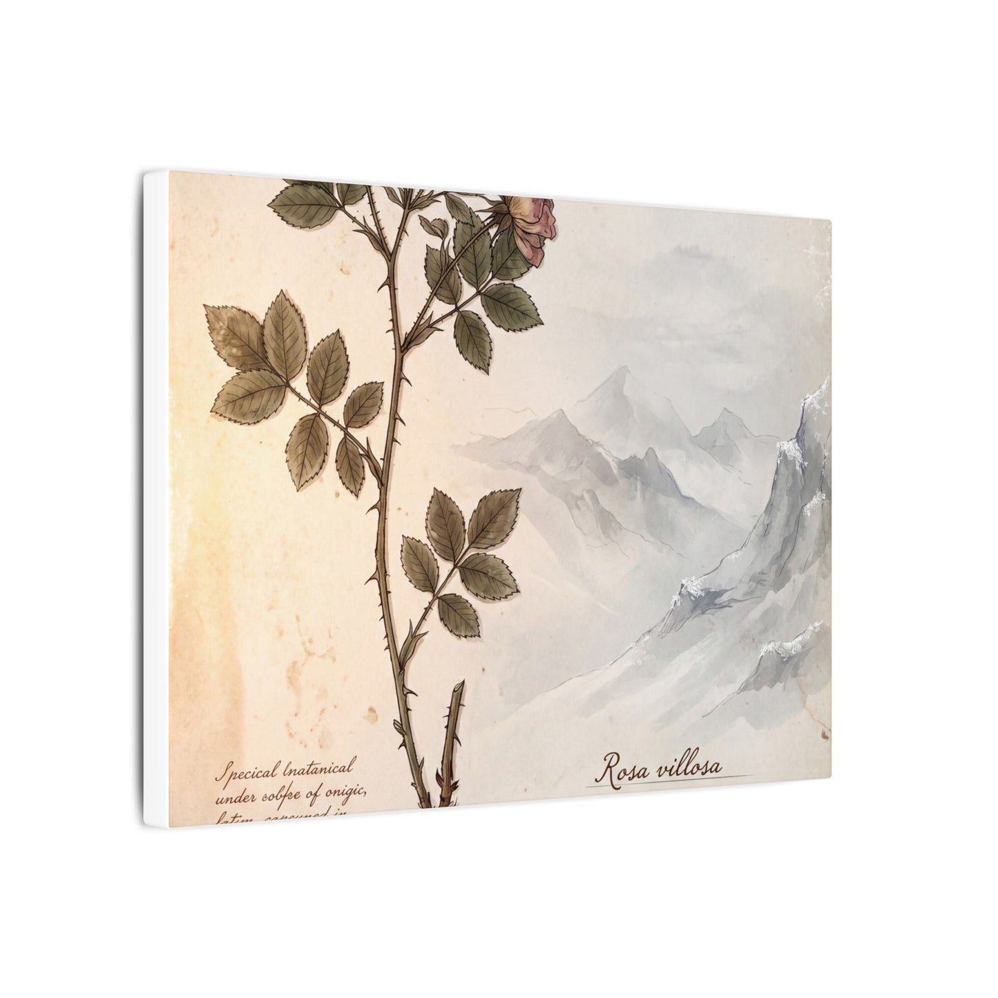 Winter Mountain Mist Herbarium Canvas Art | Earthy Decor