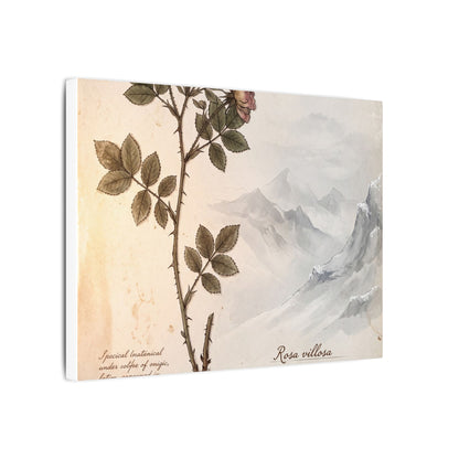 Winter Mountain Mist Herbarium Canvas Art | Earthy Decor