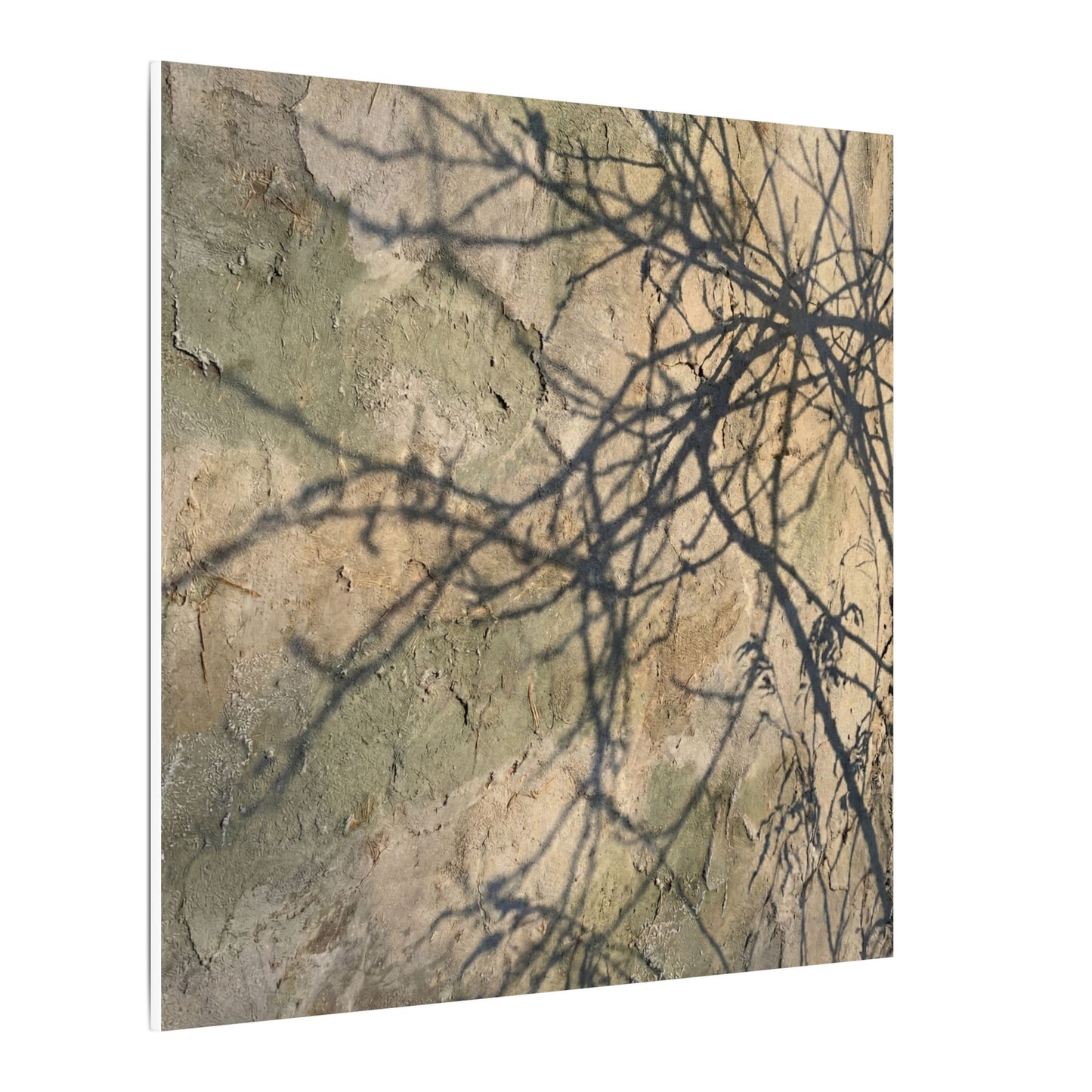 Japandi Shadow Play in Golden Hour | Texture Canvas Art