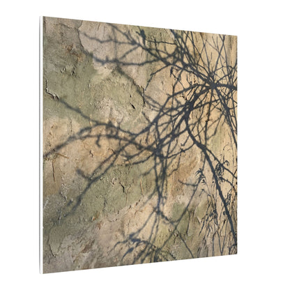 Japandi Shadow Play in Golden Hour | Texture Canvas Art