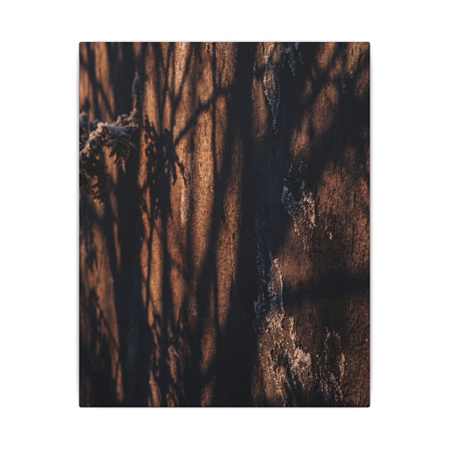 Golden Hour Shadow Play Canvas Art - Dark Japandi Fukinsei
